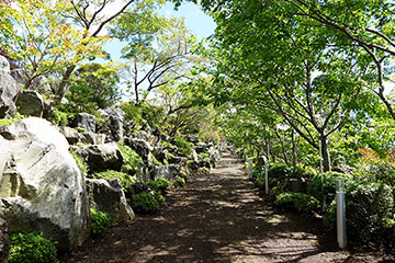 写真3 ハーブ庭園 旅日記 富士河口湖庭園